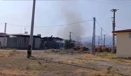 Manisa'da dolum tesisinde patlama