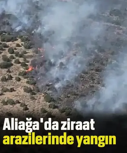 Aliağa'da ziraat arazilerinde yangın