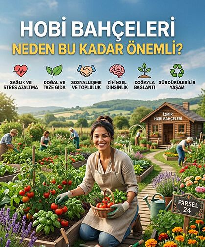 Hobi Bahçeleri: Hakkaniyetli Bir Çözüm Beklentisi