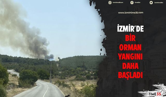 İzmir'de bir orman yangını daha başladı