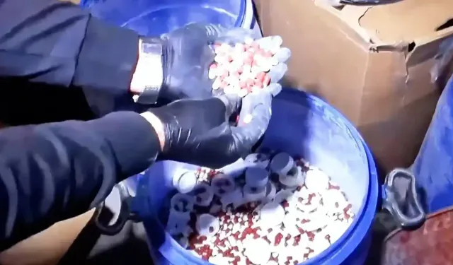İstanbul’da 15 ton bonzai ham maddesi ele geçirildi