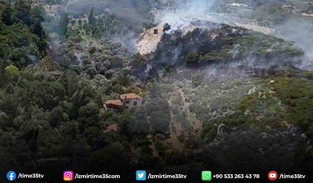 İzmir Kemalpaşa’da orman yangını