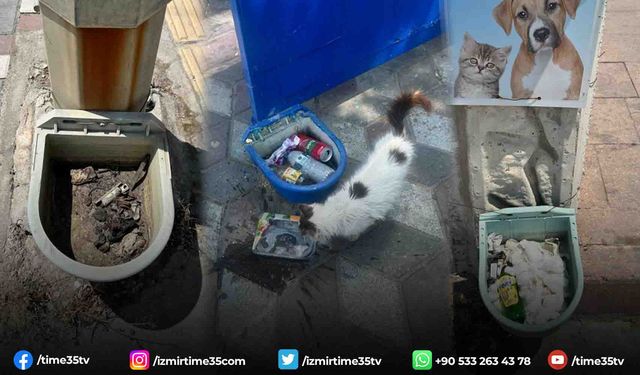 Kınık Belediyesi'nin mama kapları çöp kovasına döndü!