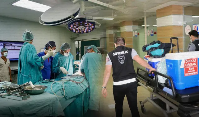 Organ bağışında yeni dönem