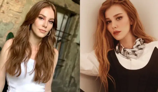 Elçin Sangu'ya mahkemeden kötü haber!