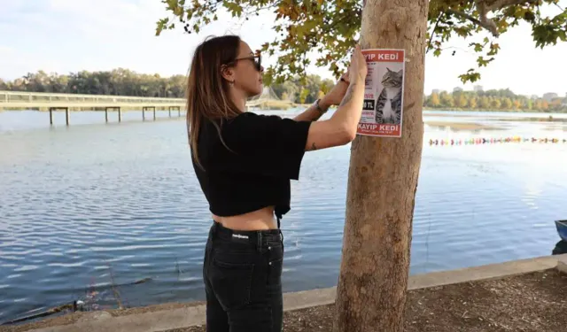 Kayıp kedisini bulana 100 bin lira ödül verecek