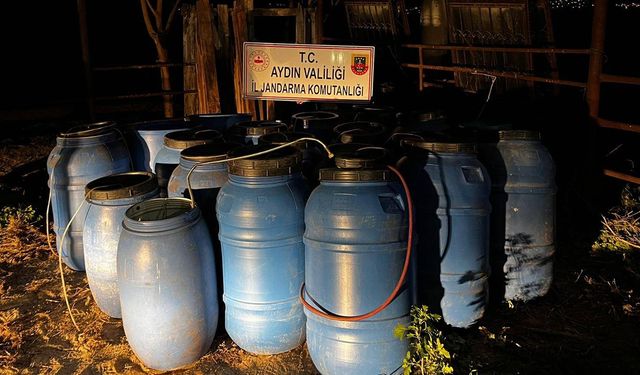 Aydın'da 6 ton sahte şarap ele geçirildi