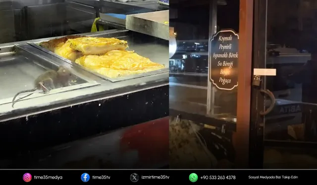 İzmir'den iğrenç görüntü: Börek tezgahlarında fare cirit attı