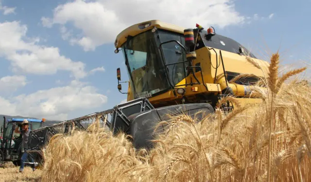 Tarım-GFE yıllık yüzde 33,66 arttı