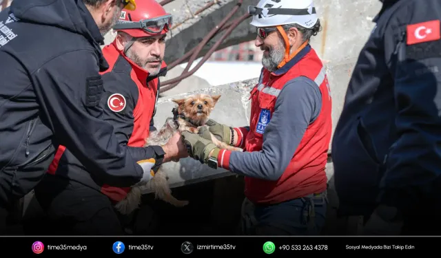 İzmir’de afetzede hayvanlar için kurtarma seferberliği
