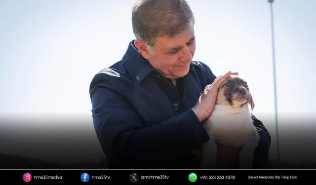 Tugay'dan Pako Bakımevi'nde sahipsiz hayvanlar için çağrı