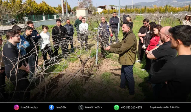 Buca’nın üzüm bağları genç ziraatçilere emanet