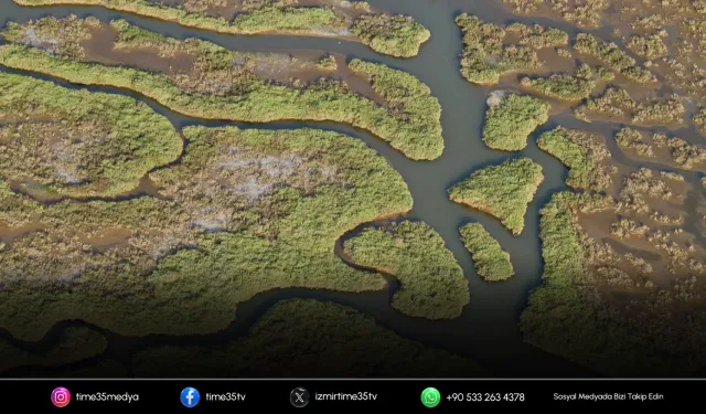 Büyükşehir’den Gediz kirliliğine karşı hamle