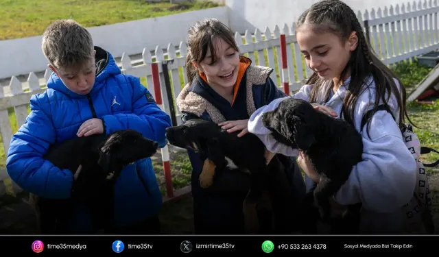 Büyükşehir’den hayvan sahiplenme çağrısı