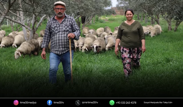 Babasının hediye ettiği kuzuyla çiftlik kurdu