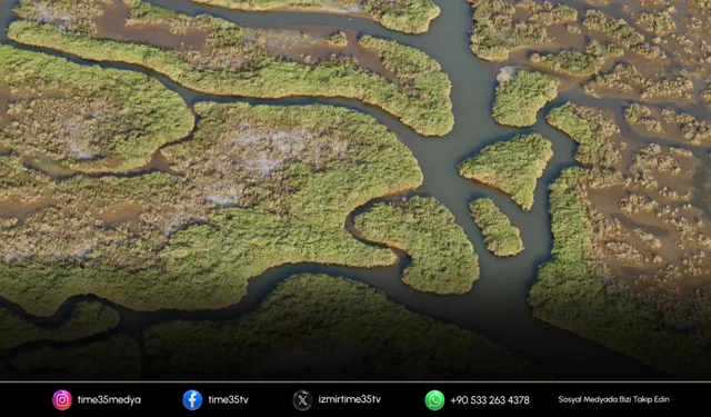 Gediz’de tehlike çanları: Yeraltı suları risk altında