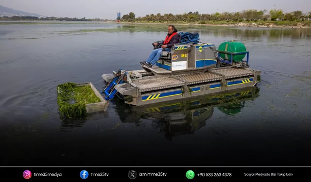 İzmir Körfezi’nde yosunla mücadele