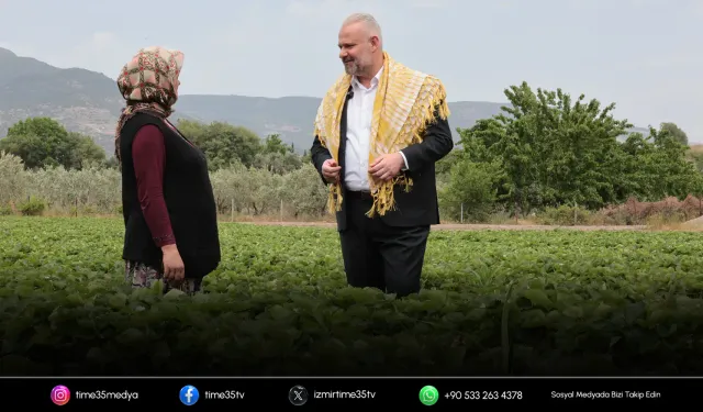 Uluslararası Emiralem Çilek Festivali için geri sayım