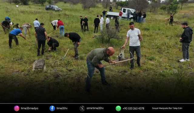 İzmir’de yangın alanı yeniden yeşeriyor