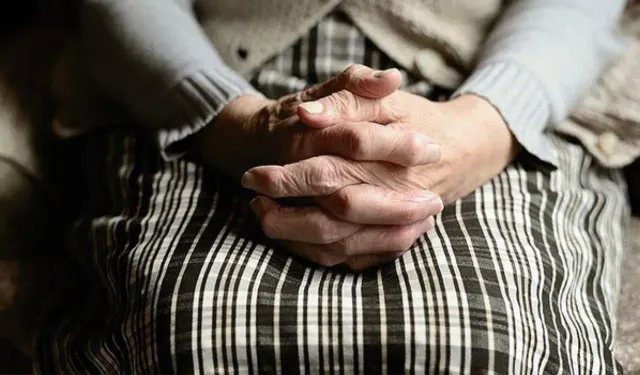 Yaşlı Destek Programı'na başvurular başladı