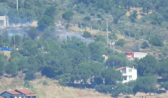 Cunda Adası'nda orman yangını