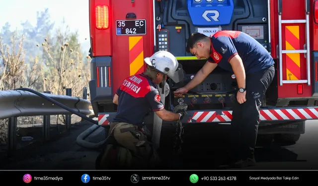 İzmir İtfaiyesi bukalemunu hayata döndürdü