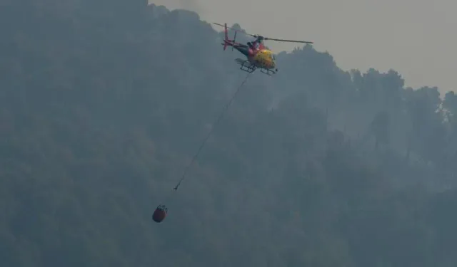 İspanya'da orman yangını: 11 ölü