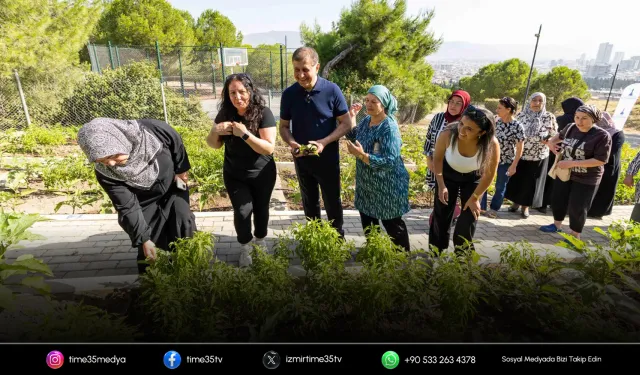 Mahalle bostanlarında üretim ve dayanışma büyüyor