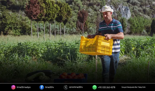 Adabahçe’de hasat bereketi: Ürünler uygun fiyatla sofralarda