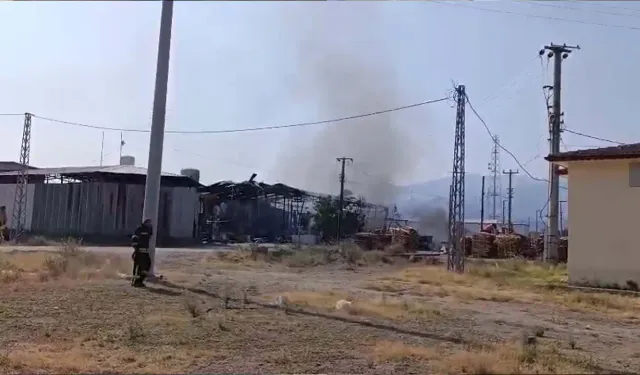 Manisa'da dolum tesisinde patlama