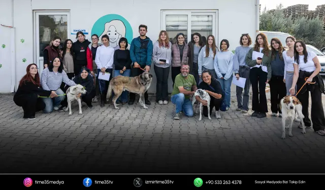 Ege Üniversitesi’nden alınan 83 köpek sahiplendirildi