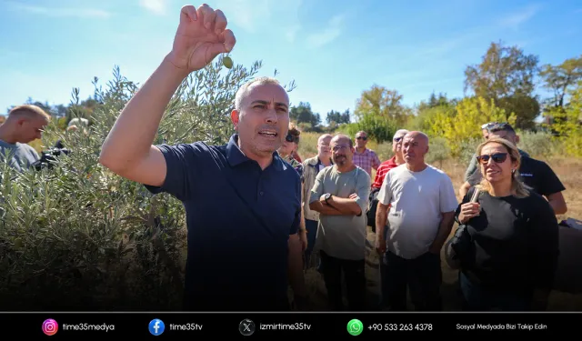 Buca’da “Sertifikalı Zeytin Budama Eğitimi” tamamlandı