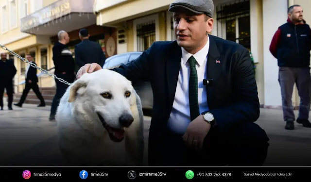 Ömer Eşki’den 83 köpek için açıklama: Sağlık durumları iyi