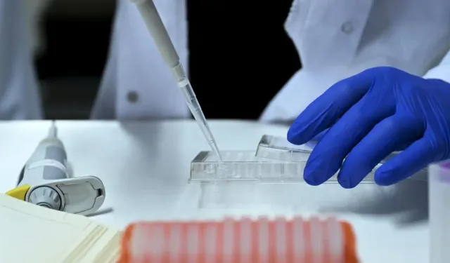 Yasa dışı üreme hücresi ticaretine operasyon