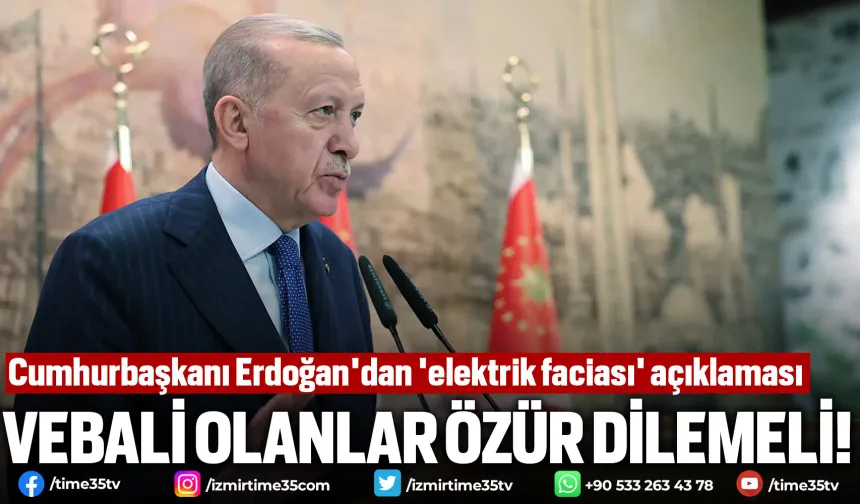 Cumhurbaşkanı Erdoğan'dan 'elektrik faciası' açıklaması