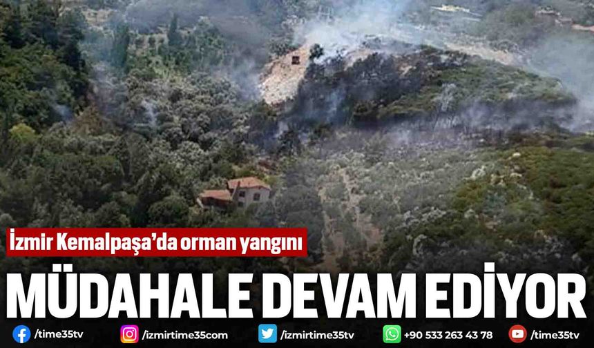 İzmir Kemalpaşa’da orman yangını