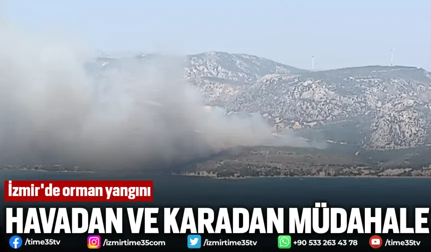 İzmir'de orman yangını: Havadan ve karadan müdahale