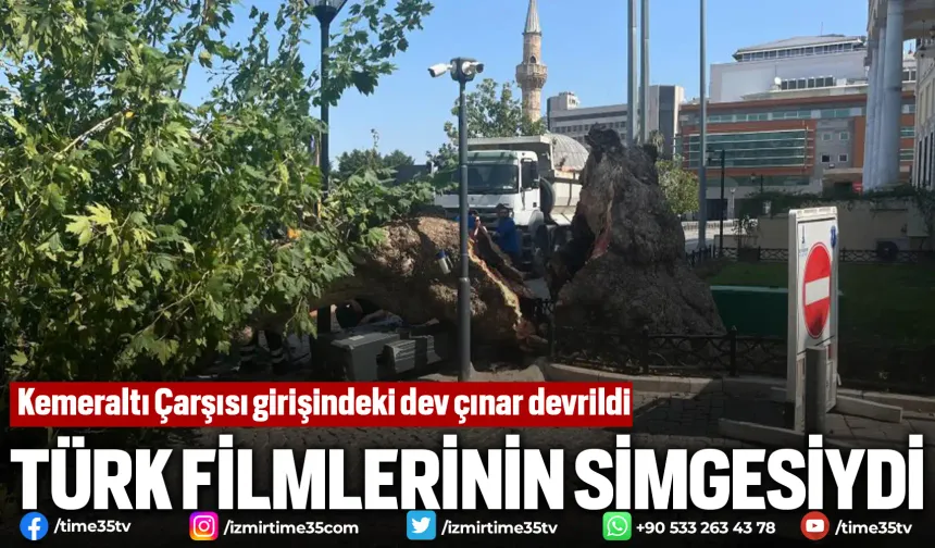 Kemeraltı Çarşısı girişindeki dev çınar devrildi
