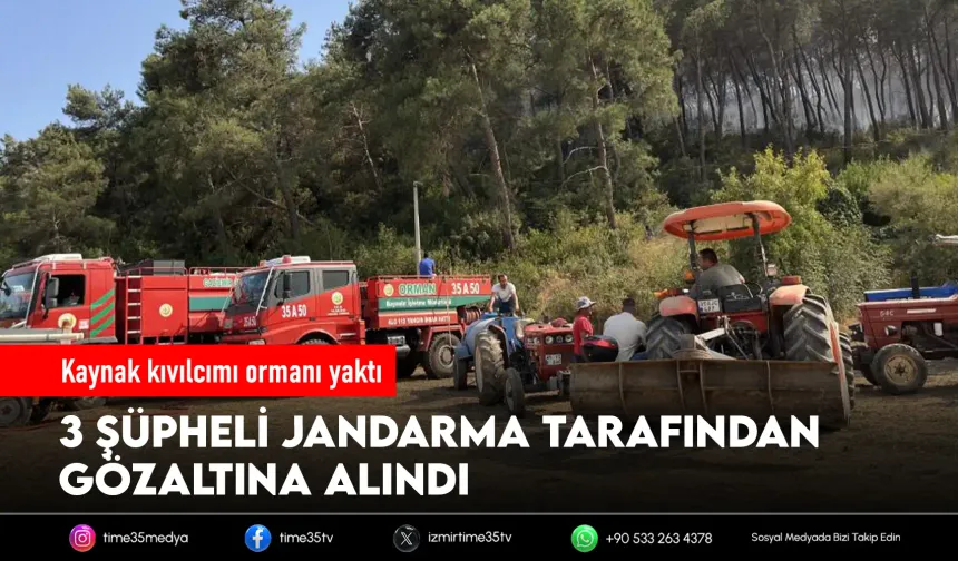 Orman yangınının sebebi yine 'Kaynak makinesi'