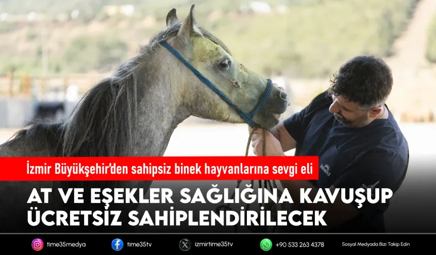 İzmir’de çiftçilere ücretsiz binek hayvanı desteği