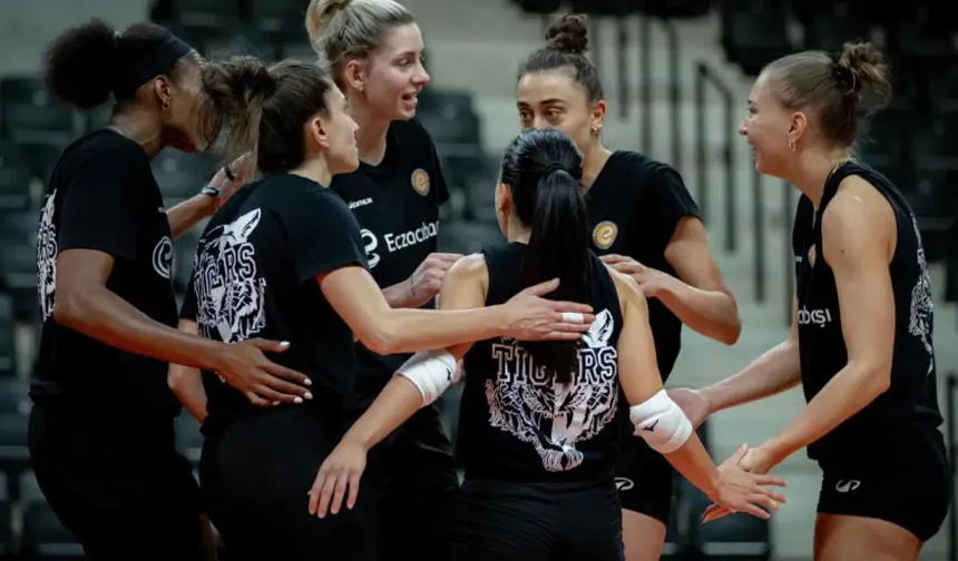 Eczacıbaşı Dynavit, Şampiyonlar Ligi sahnesinde