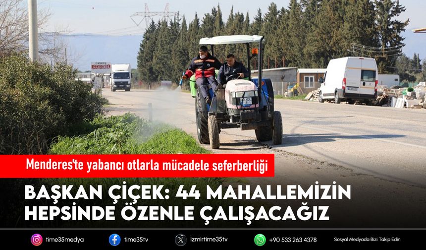 Menderes'te yabancı otlarla mücadele seferberliği