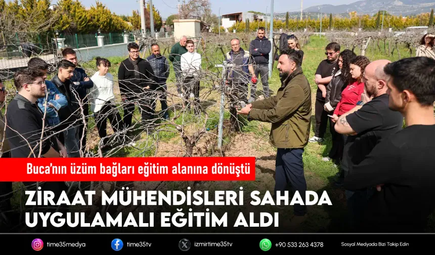 Buca’nın üzüm bağları genç ziraatçilere emanet