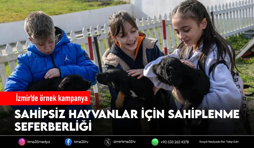 Büyükşehir’den hayvan sahiplenme çağrısı