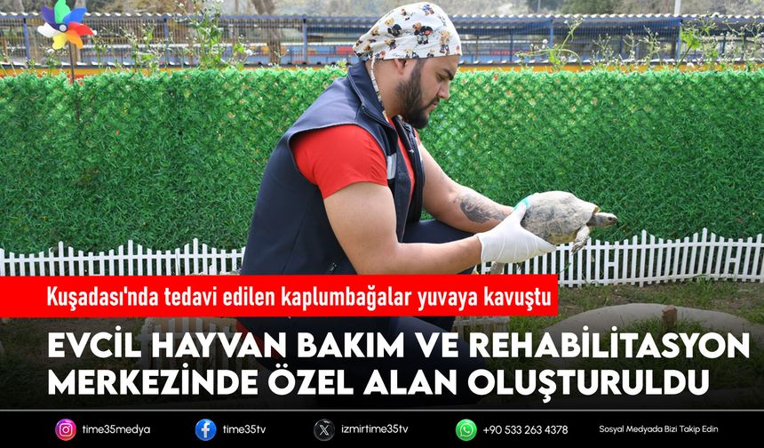 Kuşadası'nda tedavi edilen kaplumbağalar yuvaya kavuştu