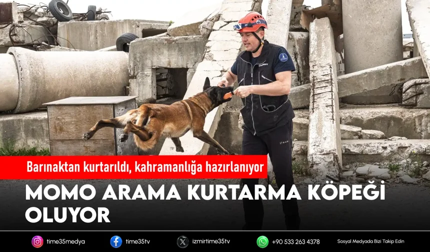 Barınaktan kurtarılan Momo afetlere hazırlanıyor