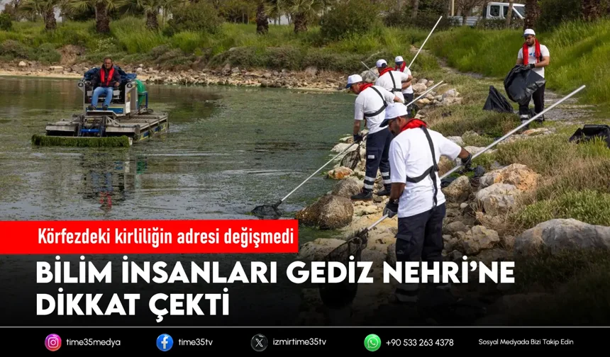 Deniz marulunun nedeni Gediz kirliliği