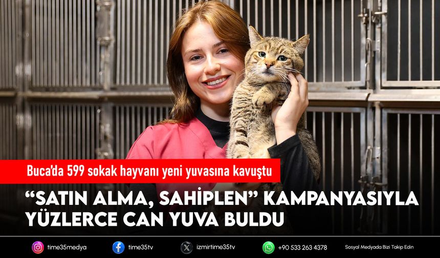Buca’da 599 sokak hayvanı yeni yuvasına kavuştu