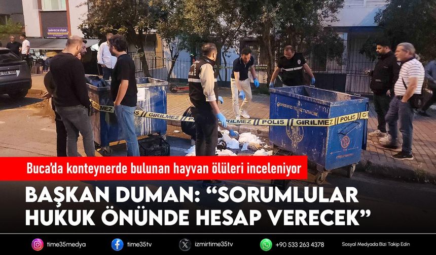 Buca’da konteynerde bulunan hayvan ölüleri inceleniyor