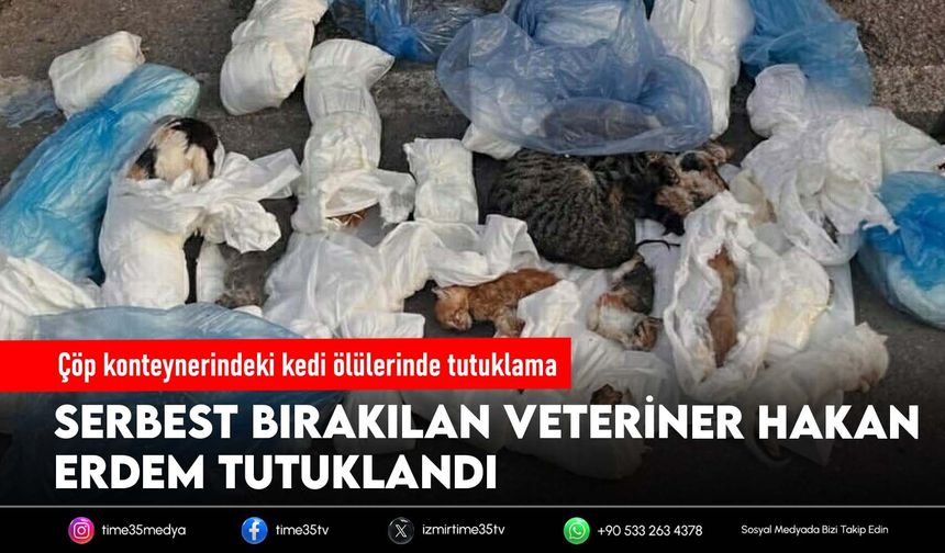 Çöp konteynerindeki kedi ölülerinde tutuklama